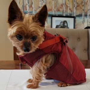 Reddy Pet Dog Puffer Harness Vest S